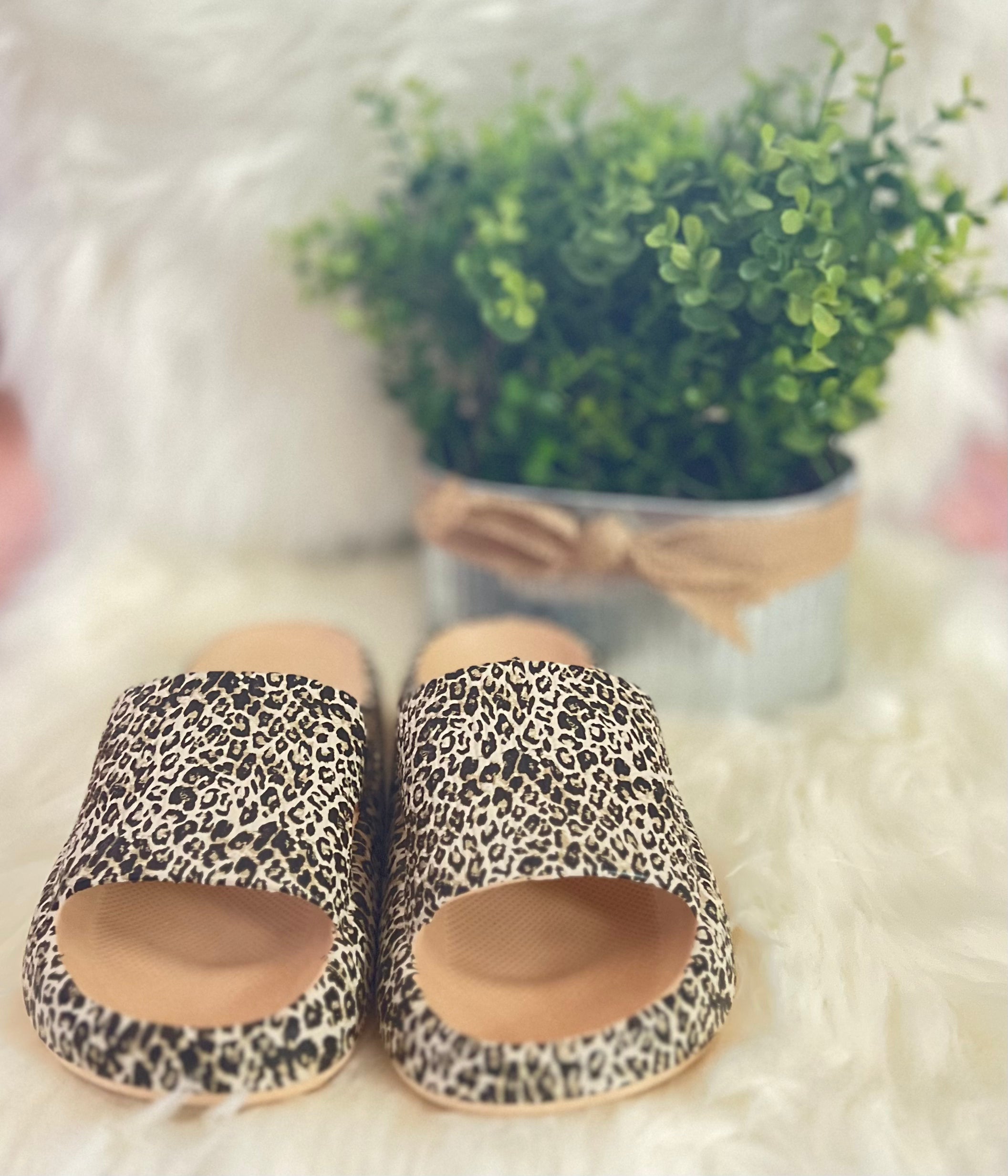 Leopard Squishy Slides