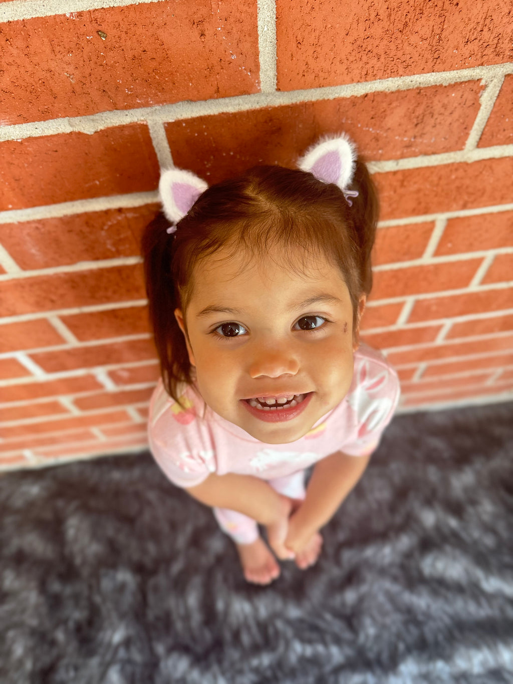 Bunny Ear Hair Clips