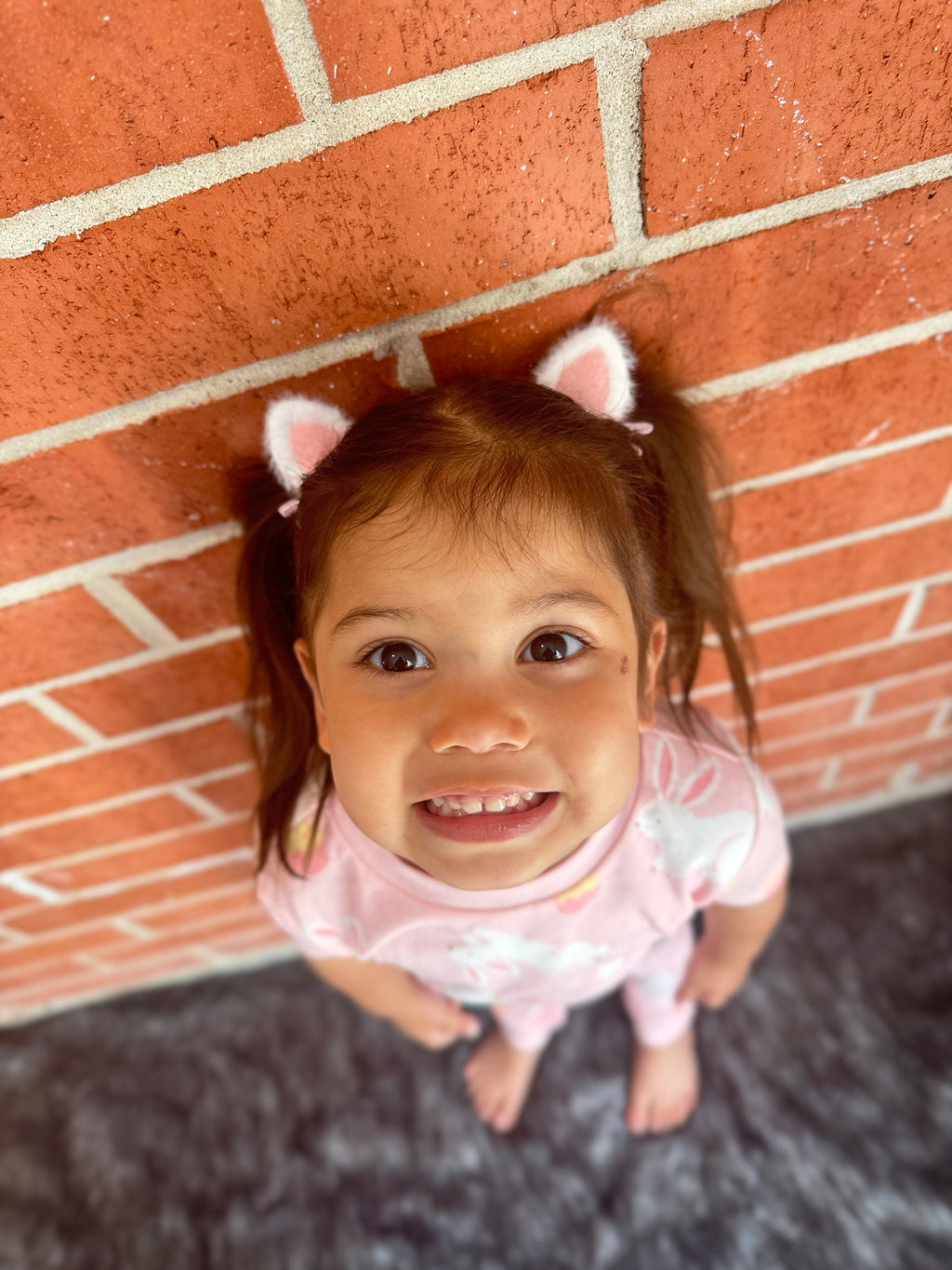 Bunny Ear Hair Clips