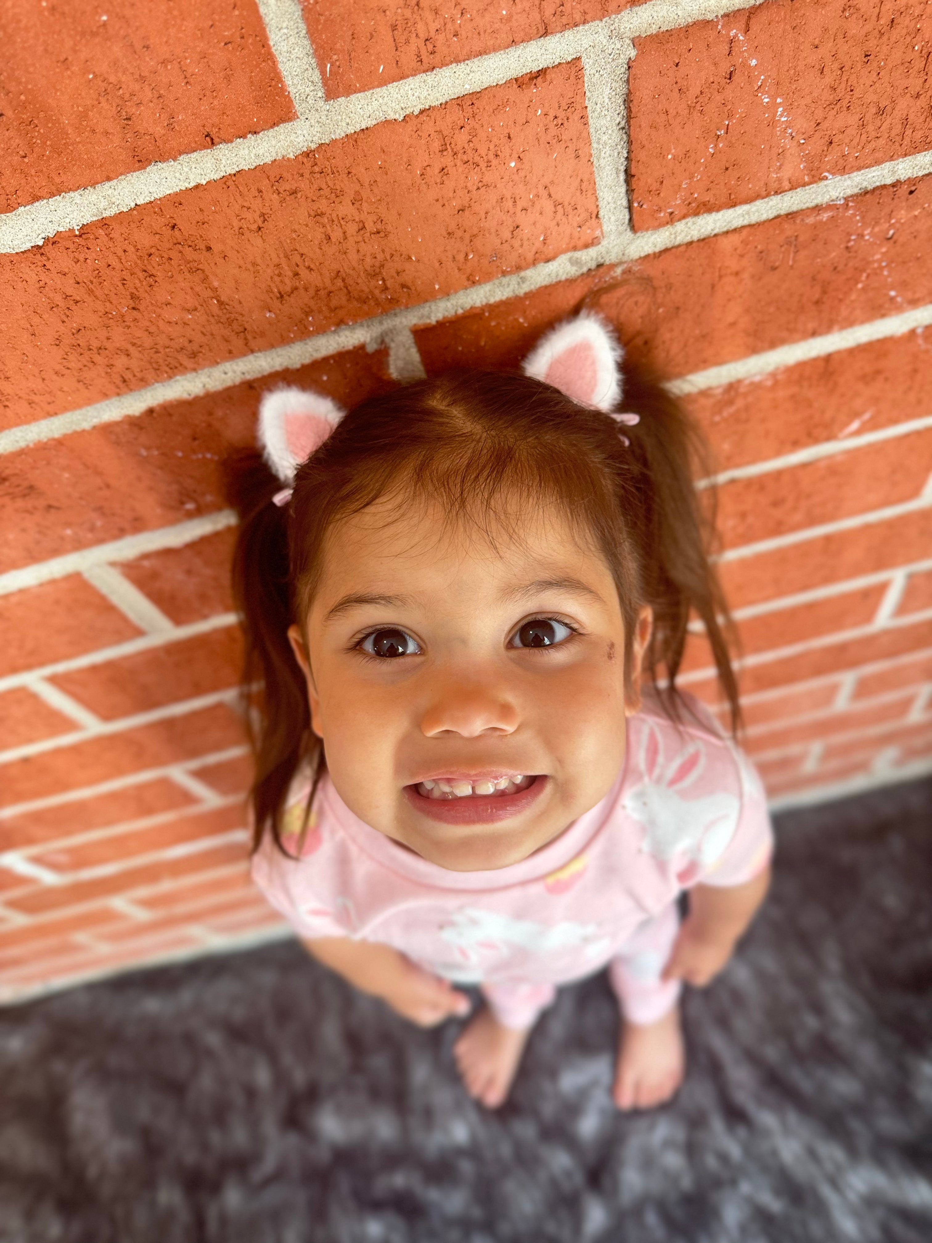 Bunny Ear Hair Clips