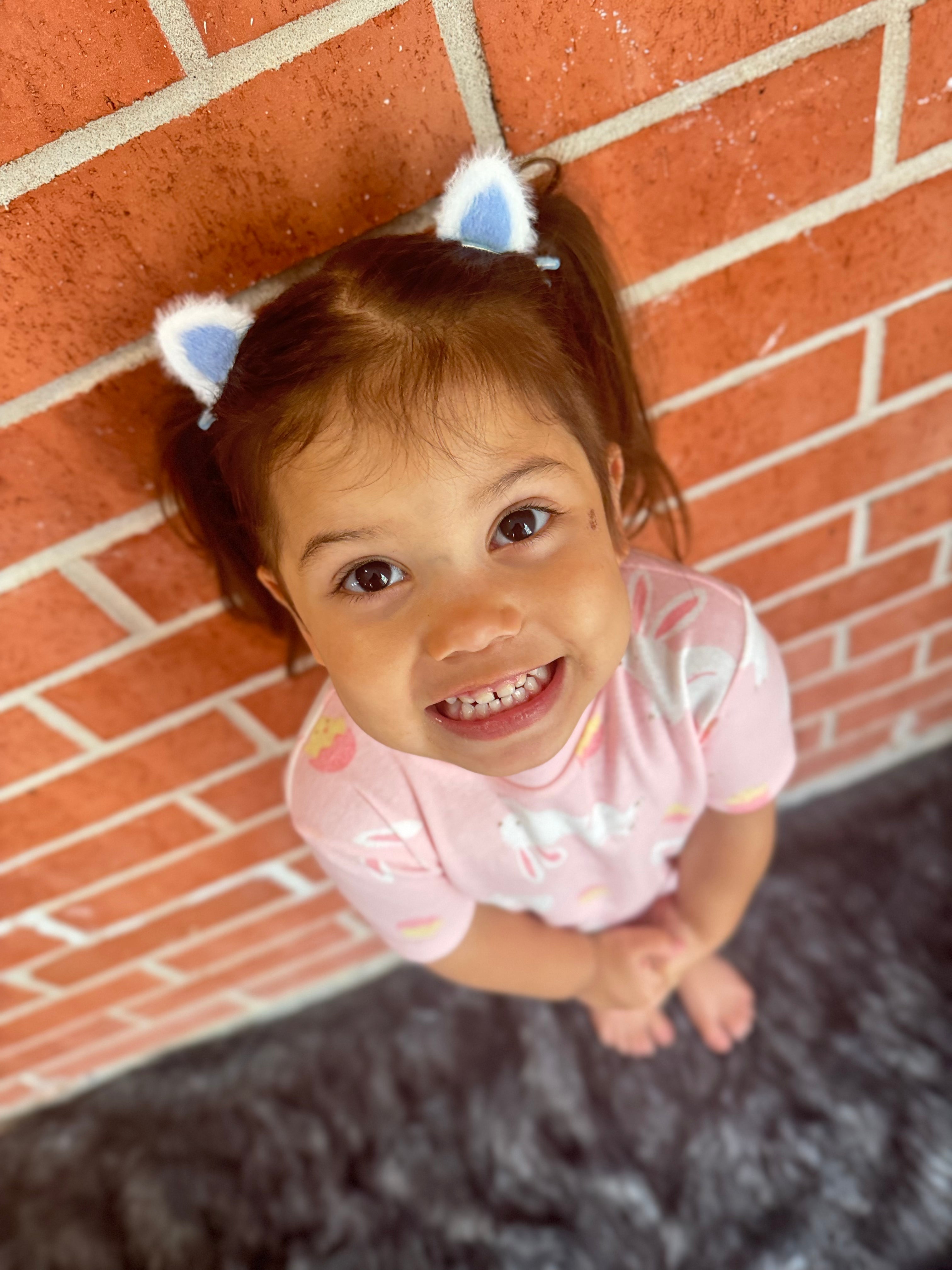 Bunny Ear Hair Clips