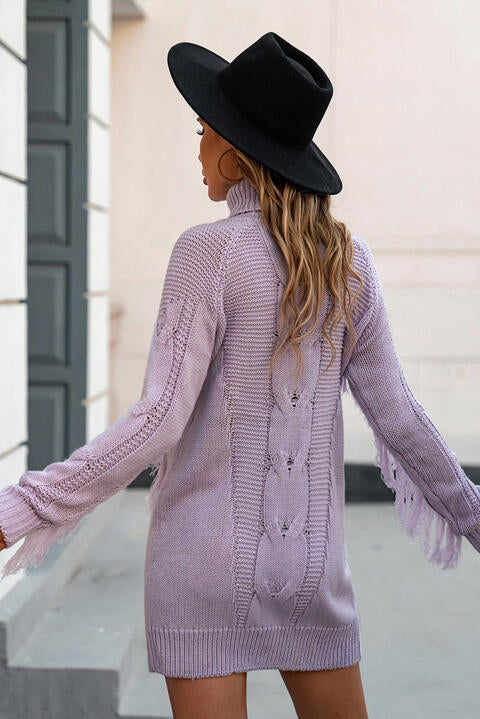 Fringed Turtleneck Sweater Dress