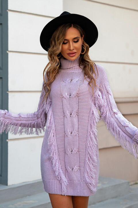 Fringed Turtleneck Sweater Dress