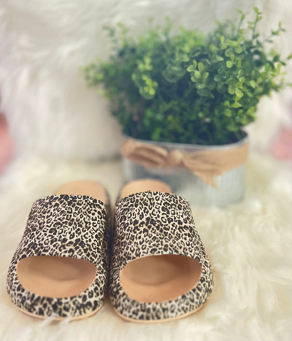 Leopard Squishy Slides